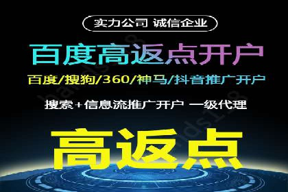 百度竞价：从入门到精通，快速实现盈利的案例集