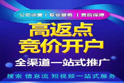 SEM服务在本地化营销中的应用案例